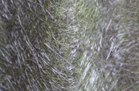 Redcliffe Bay fibreglass roof work